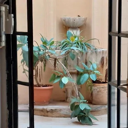 Alqubba Del Massimo *